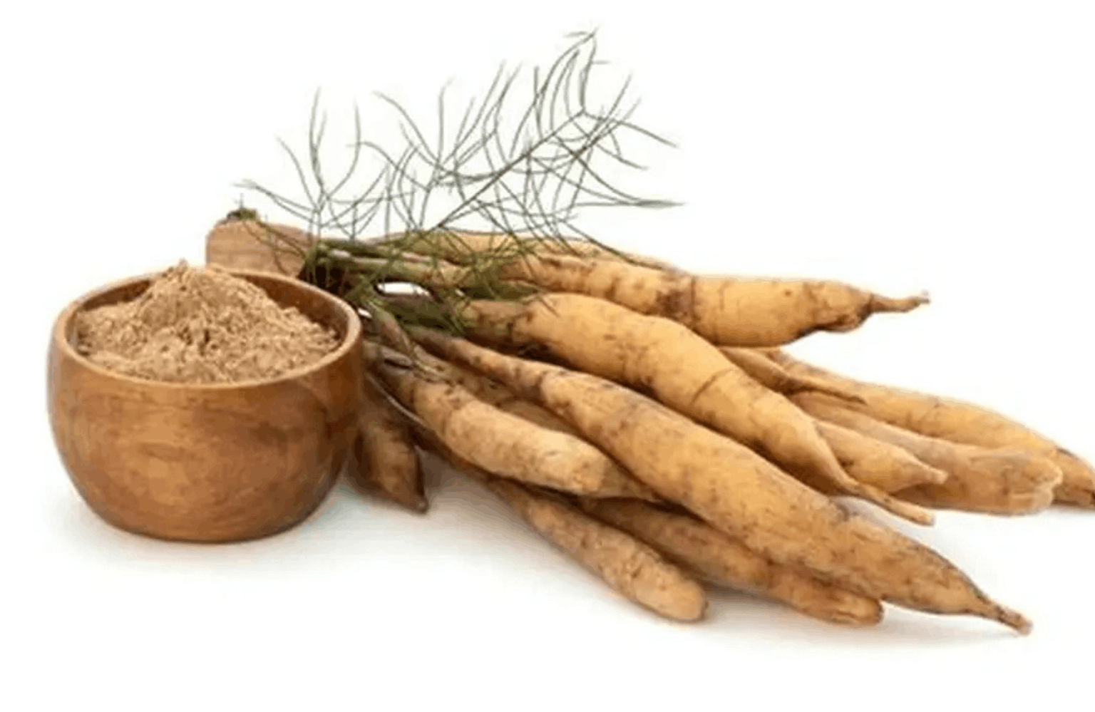 Shatavari benefits and side effects