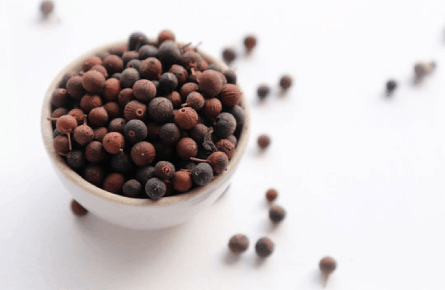 Vidanga benefits and side effects