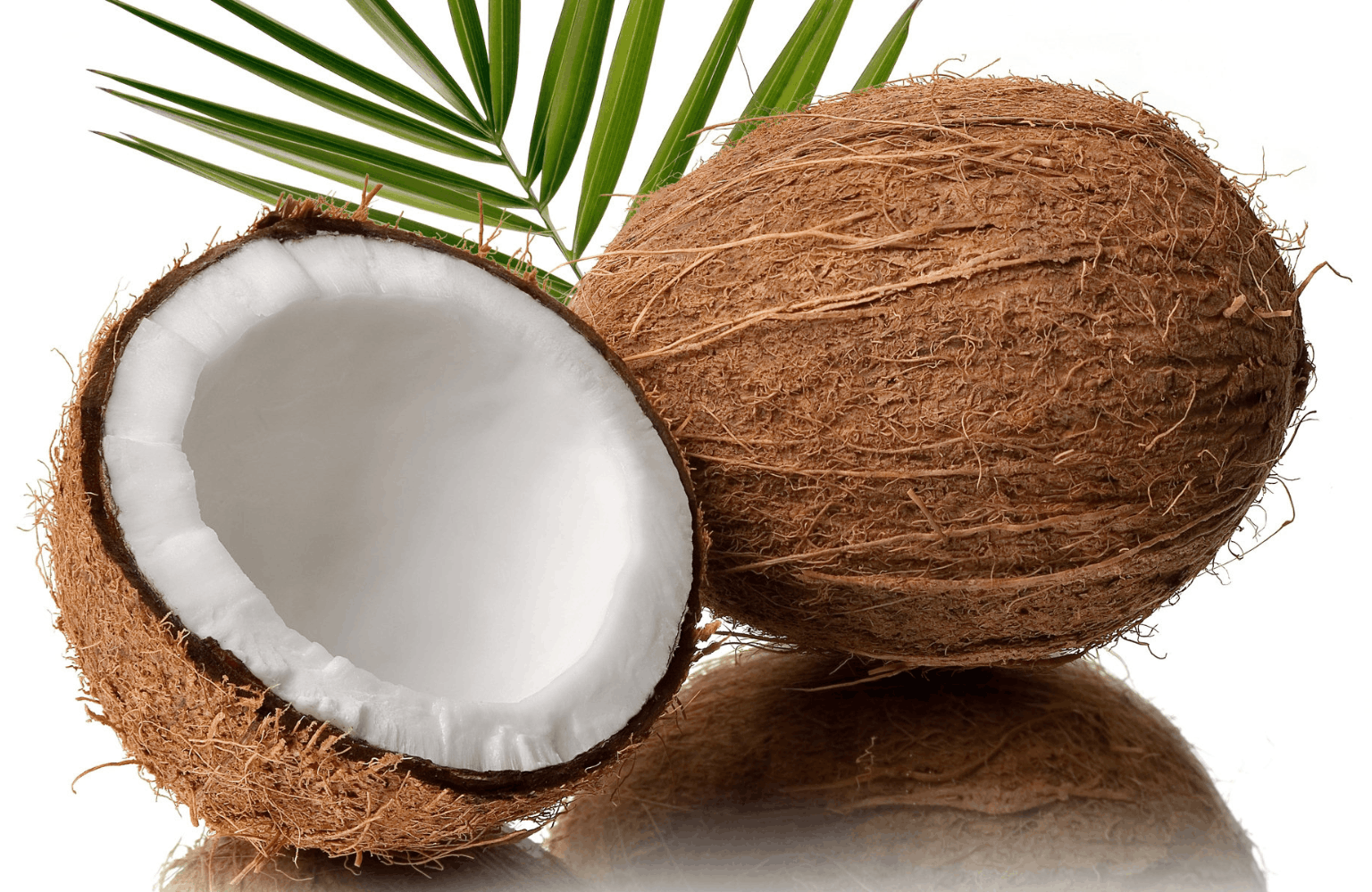 Coconut benefits and side effects
