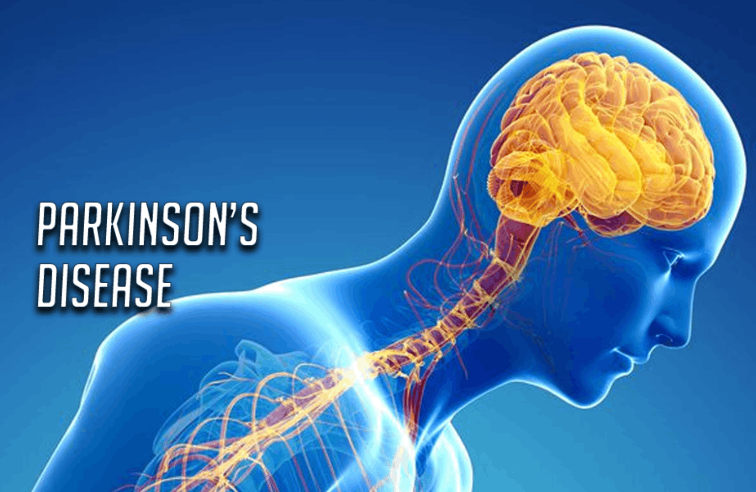 Parkinson’s disease Ayurvedic Treatment | Causes & Symptoms