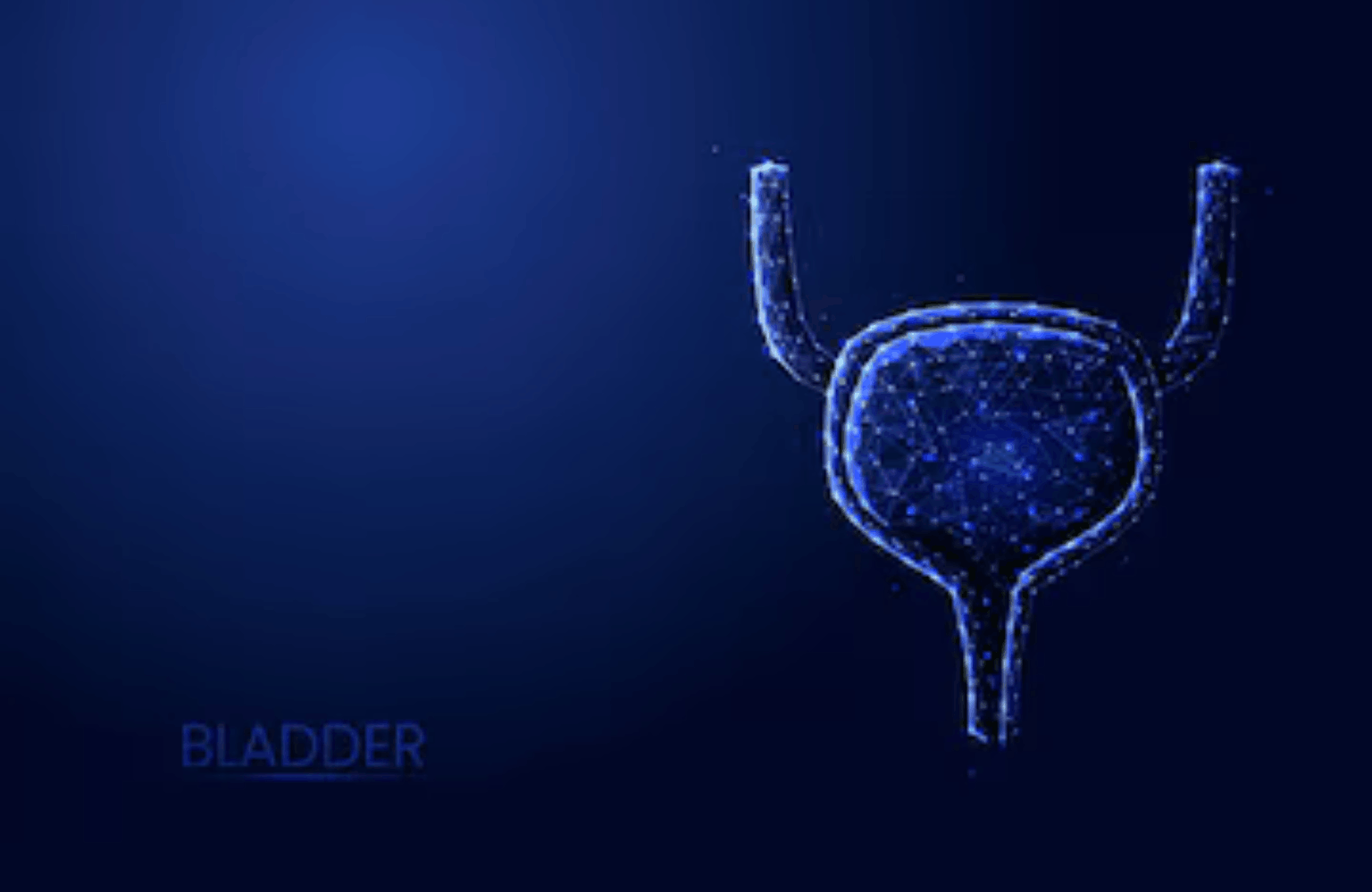 Bladder infection Home Remedies and the Ayurvedic View Ayurvedic Treatment | Causes & Symptoms