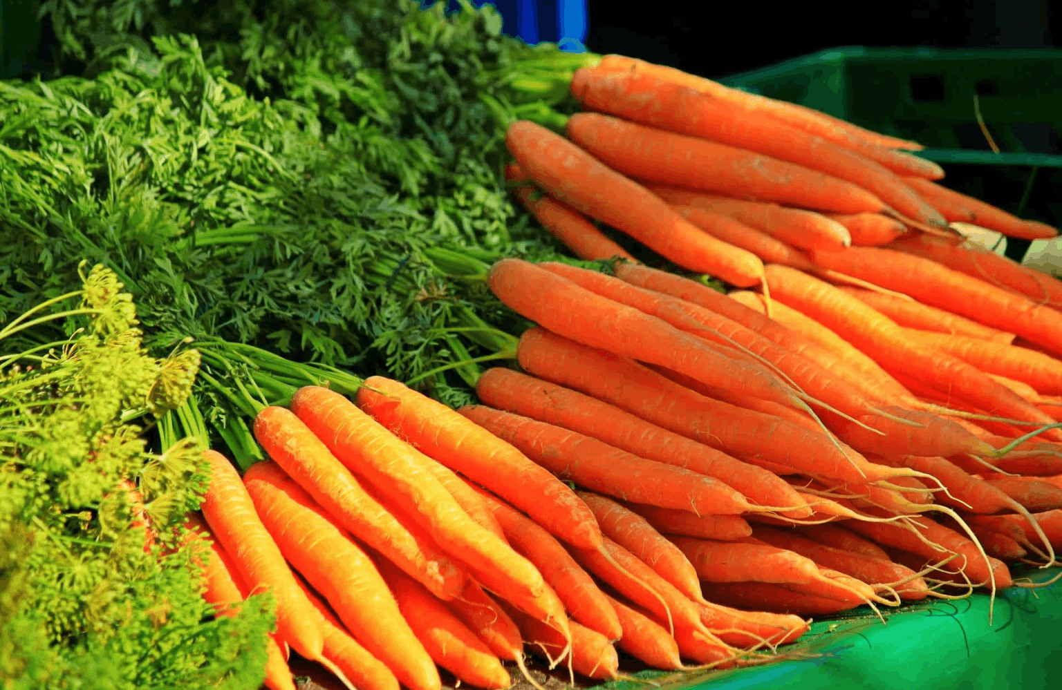 Carrot benefits and side effects
