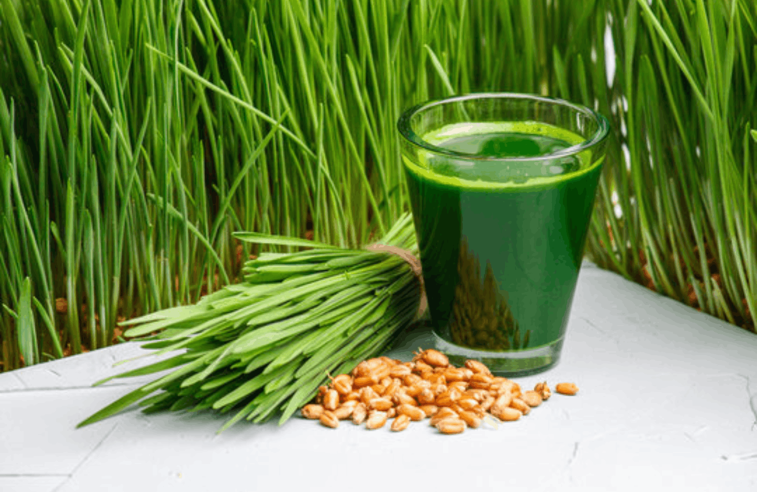 Wheatgrass benefits and side effects