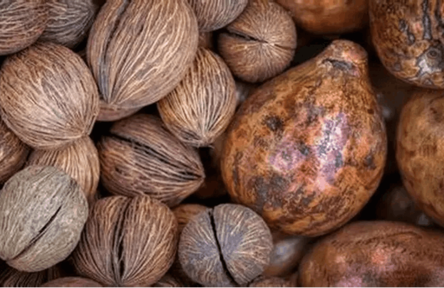 Nutmeg benefits and side effects