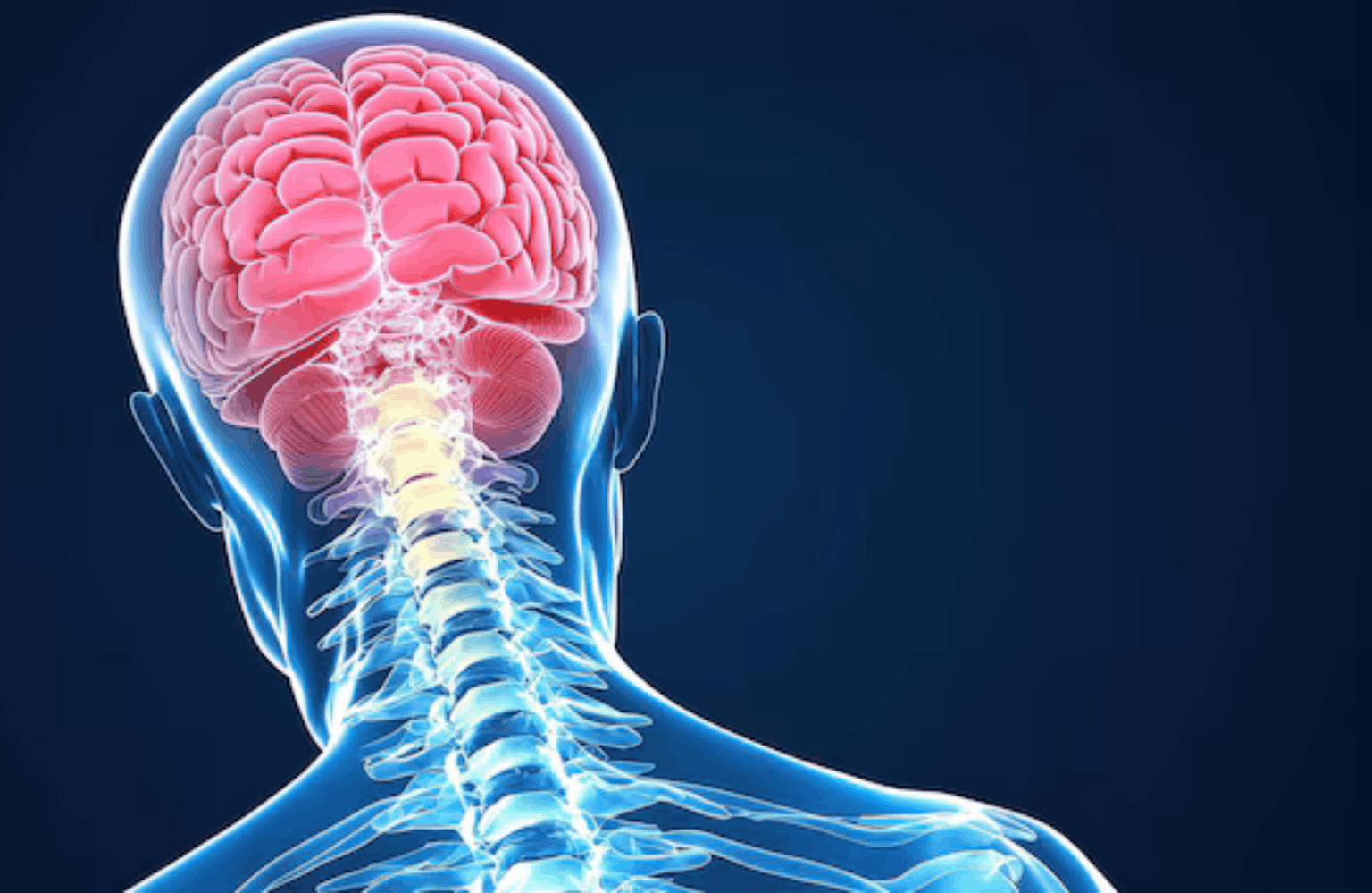 Meningitis Ayurvedic Treatment | Causes & Symptoms