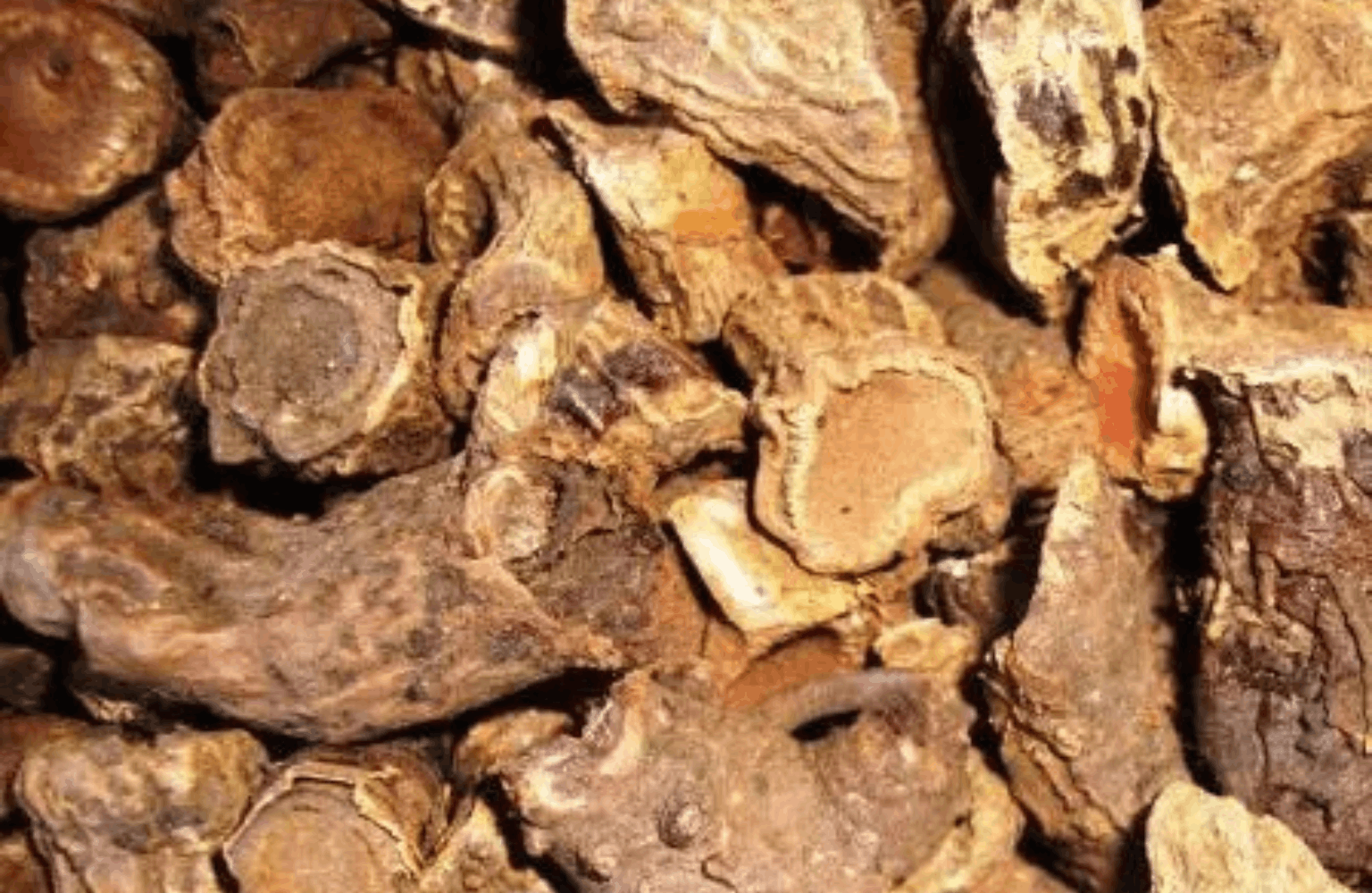 Rasna benefits and side effects