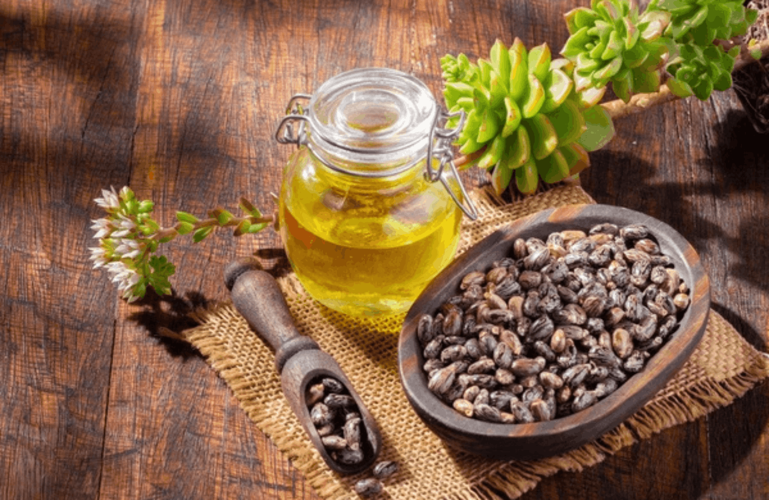 Castor Oil benefits and side effects