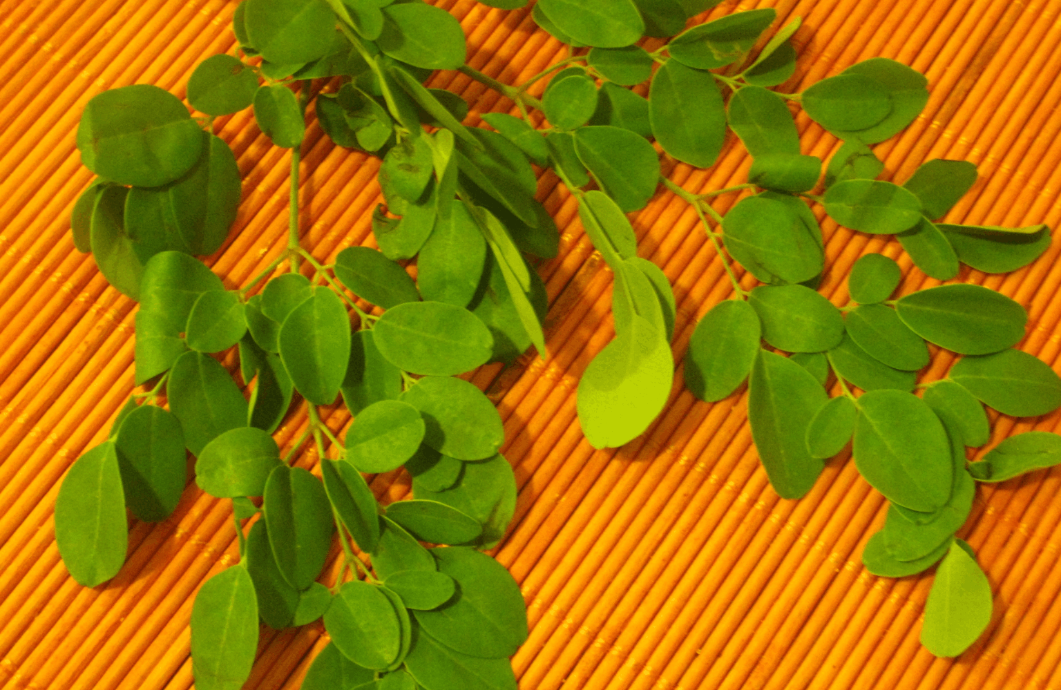 Drumstick Leaves benefits and side effects