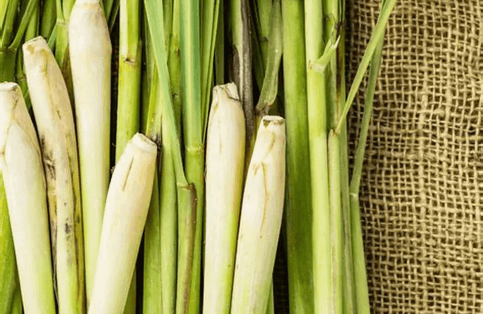 Lemongrass benefits and side effects
