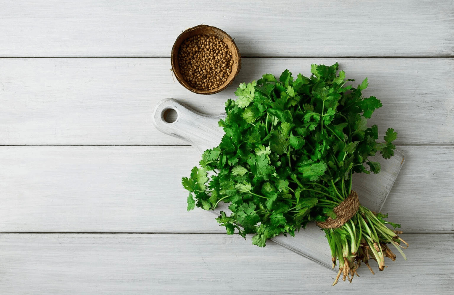 Coriander benefits and side effects
