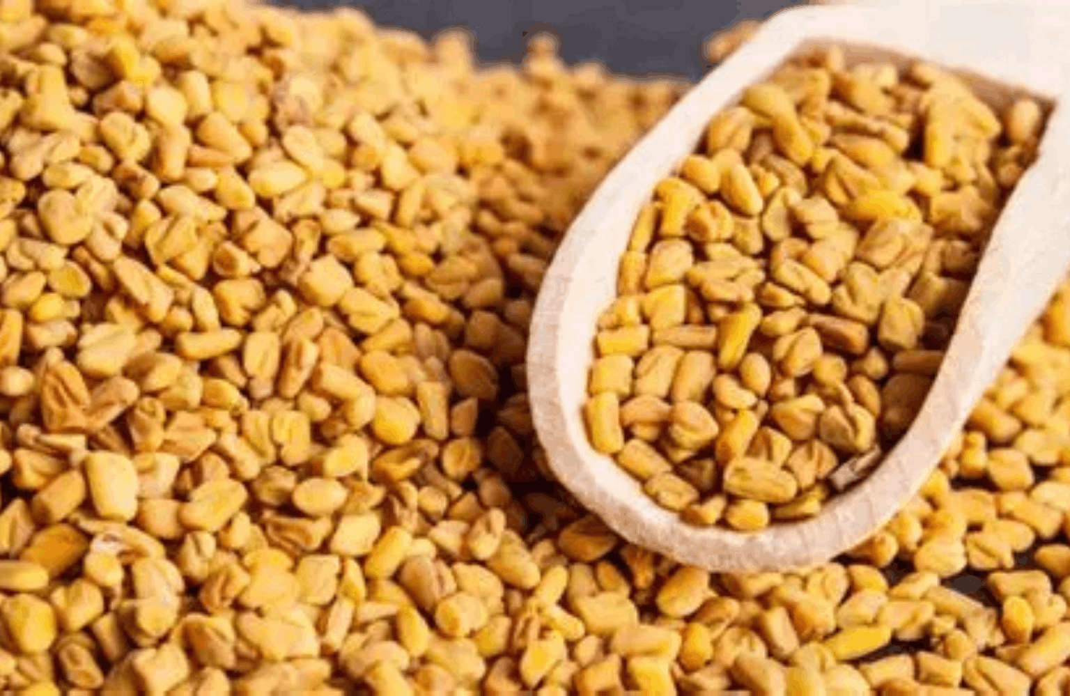 Fenugreek benefits and side effects