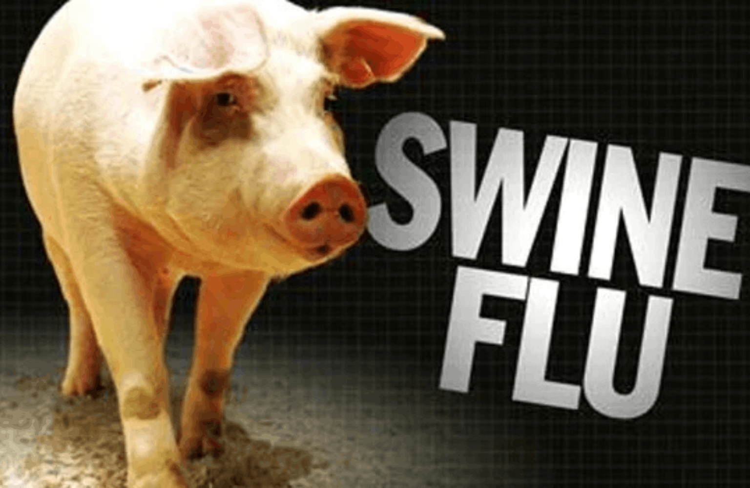 Swine flu Symptoms and Causes Ayurvedic Treatment | Causes & Symptoms