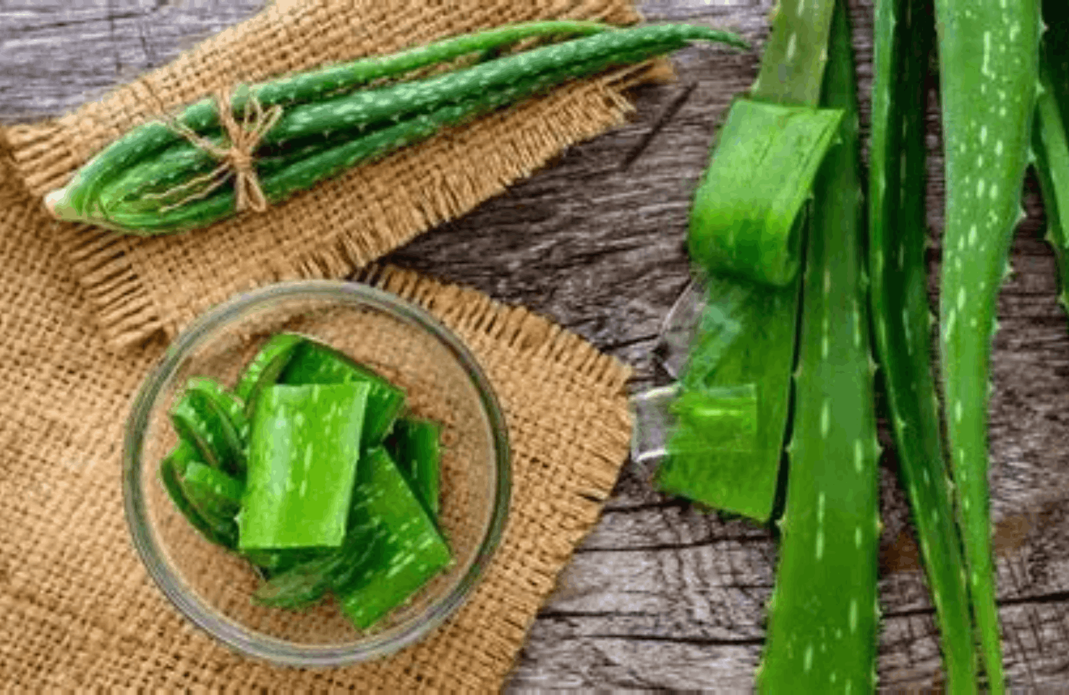 Aloe Vera benefits and side effects